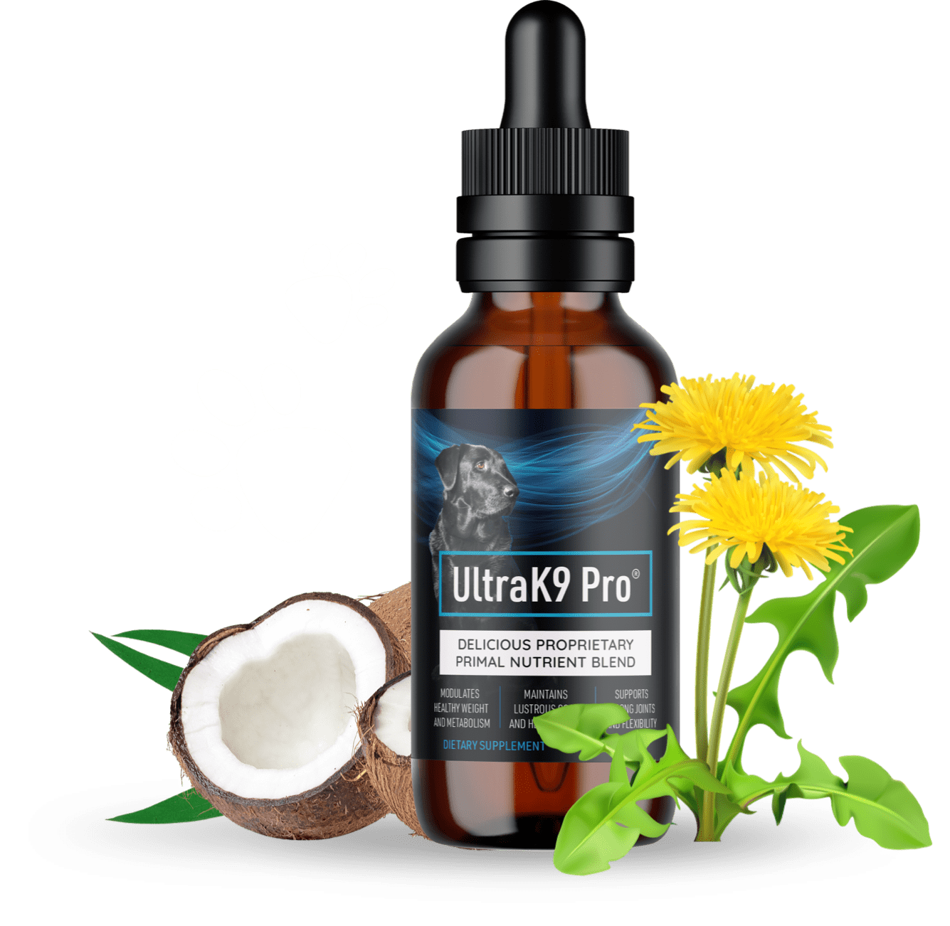 Helps with dog arthritis